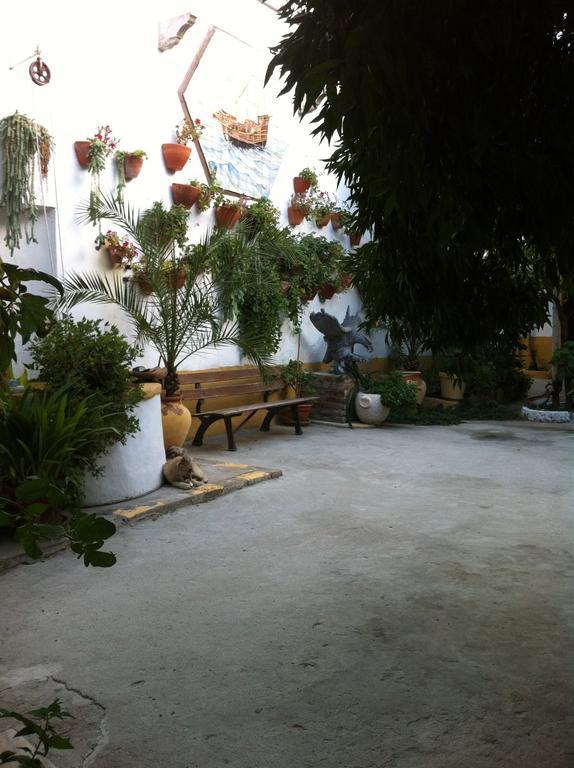 Patio Das Flores Ferreira Do Alentejo Eksteriør billede