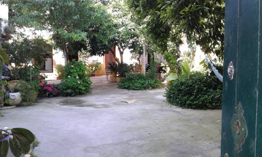Patio Das Flores Ferreira Do Alentejo Eksteriør billede