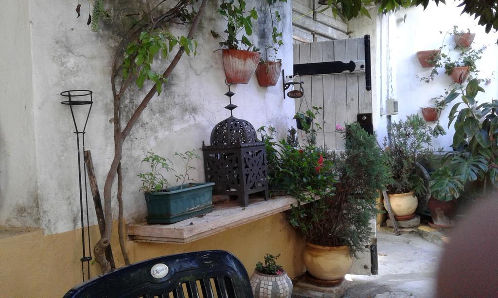 Patio Das Flores Ferreira Do Alentejo Eksteriør billede
