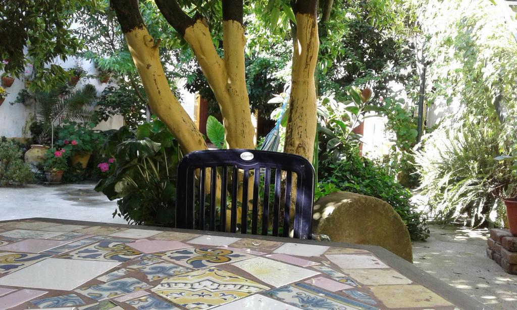 Patio Das Flores Ferreira Do Alentejo Eksteriør billede