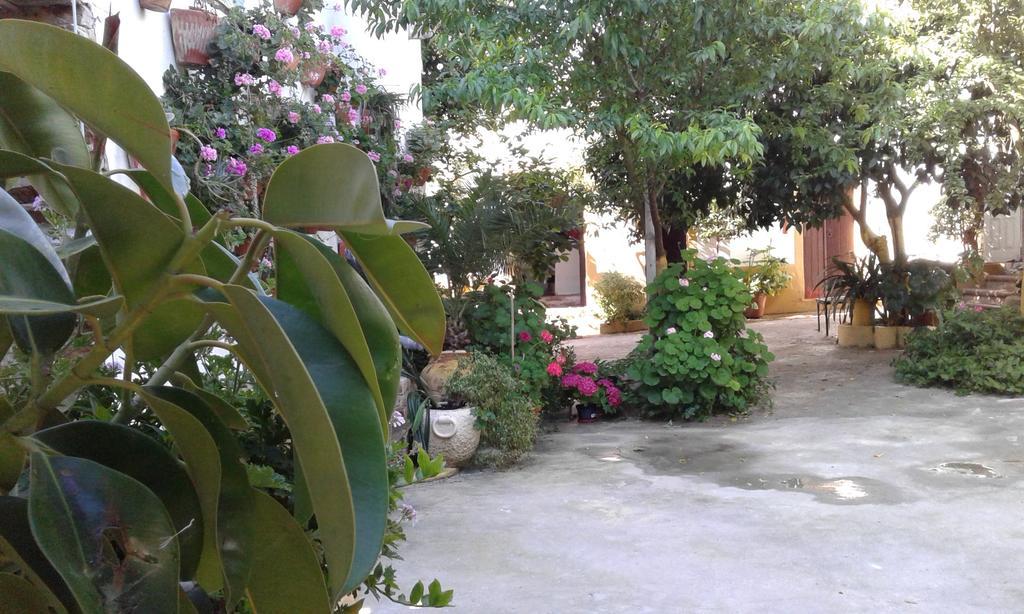 Patio Das Flores Ferreira Do Alentejo Eksteriør billede