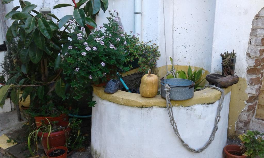 Patio Das Flores Ferreira Do Alentejo Eksteriør billede